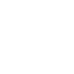vetements icon