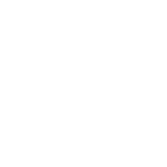 vetements icon