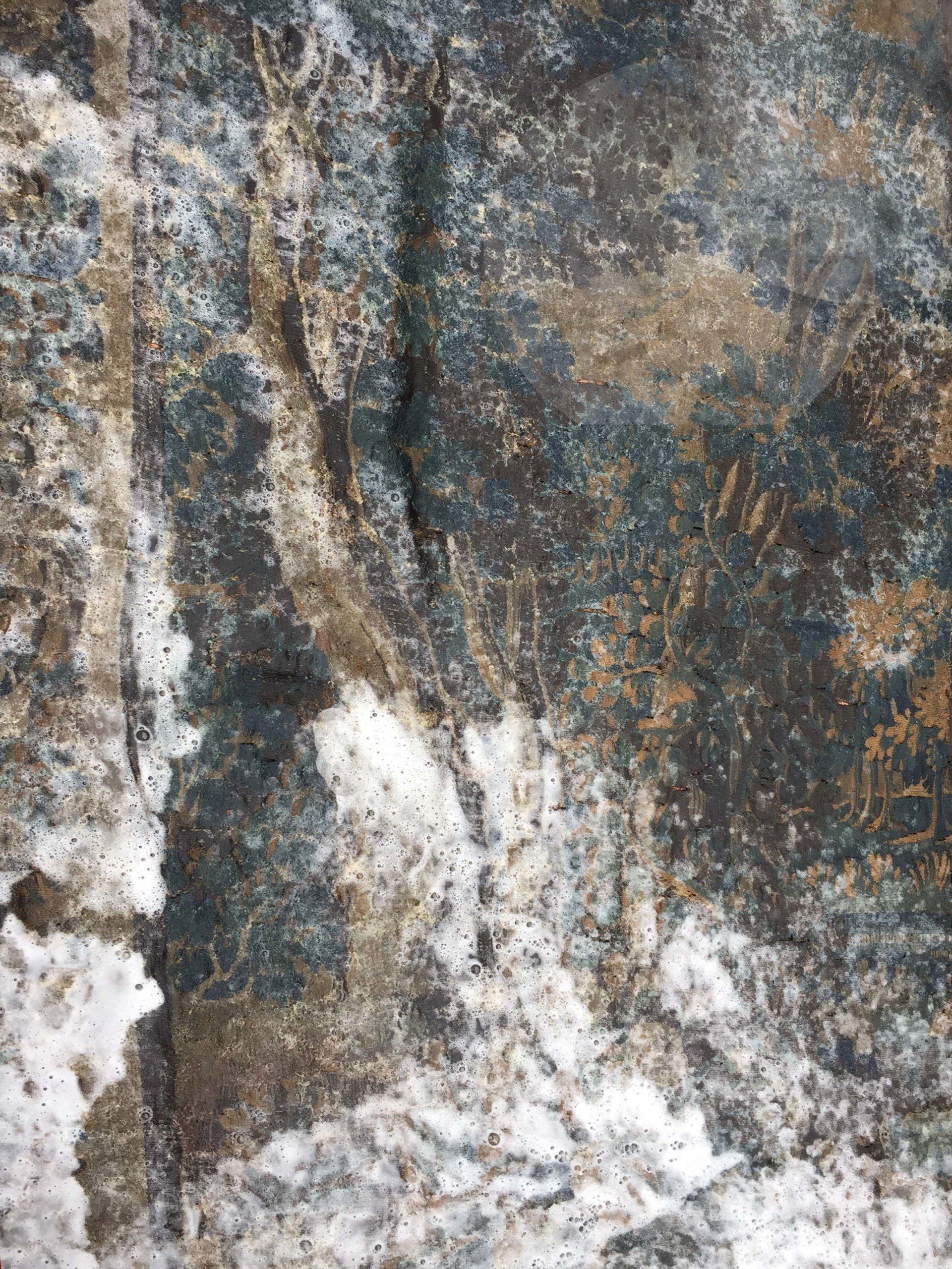 NETTOYAGE TAPISSERIE AUBUSSON ANCIENNE NETTOYAGE TAPISSERIE AUBUSSON ANCIENNE