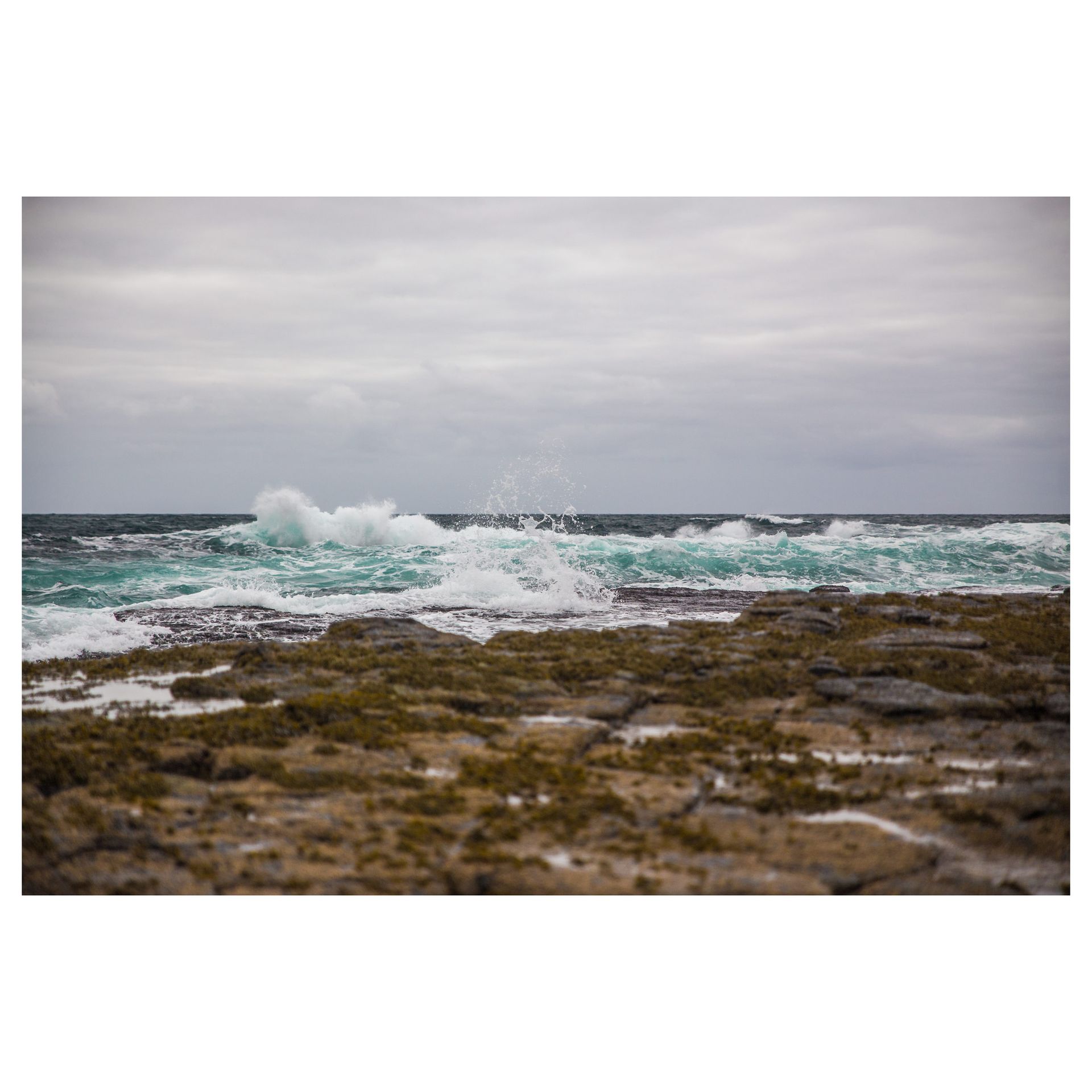 Fotograf Freital Naturfotografie Heimat