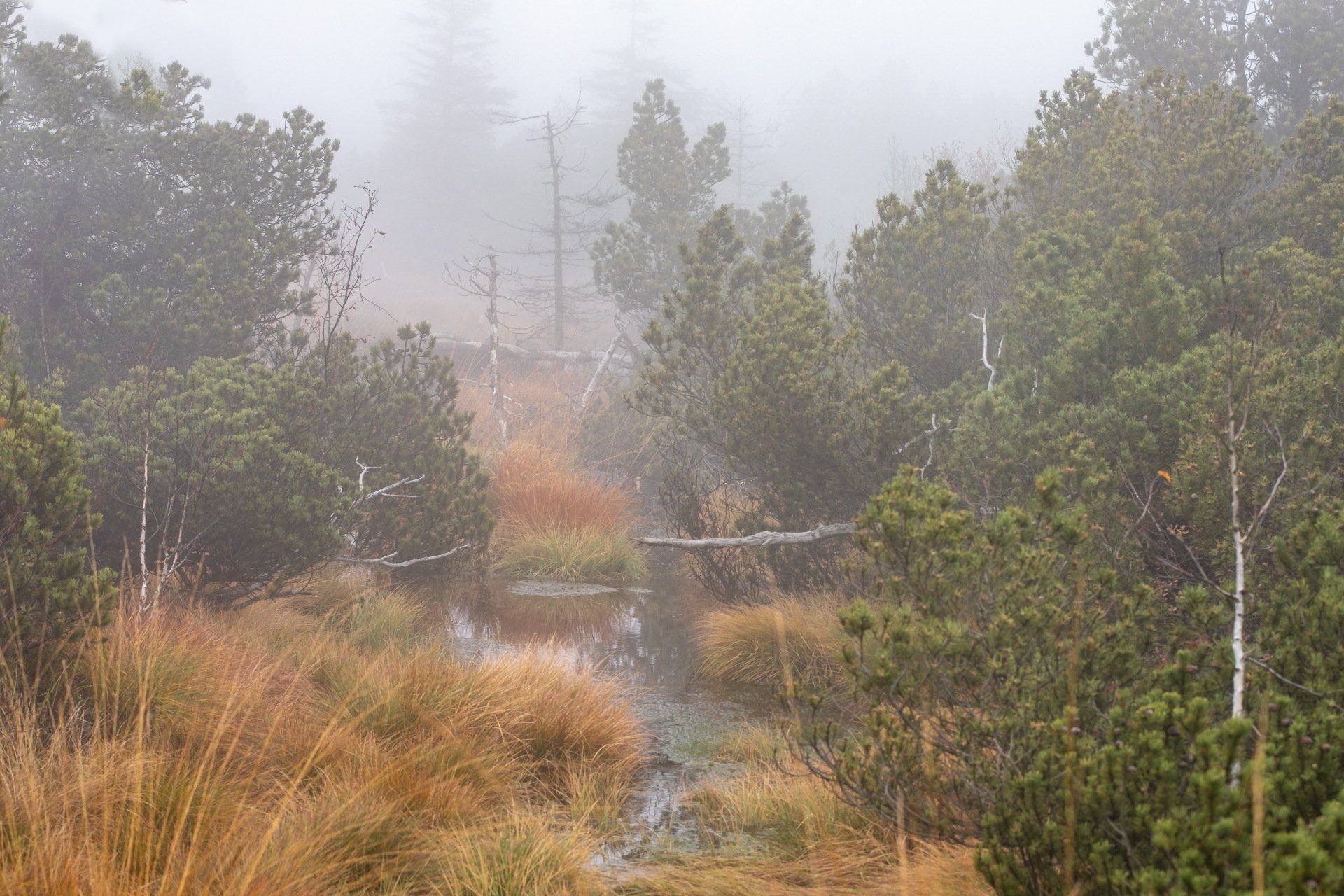 Fotograf Freital Naturfotografie Heimat