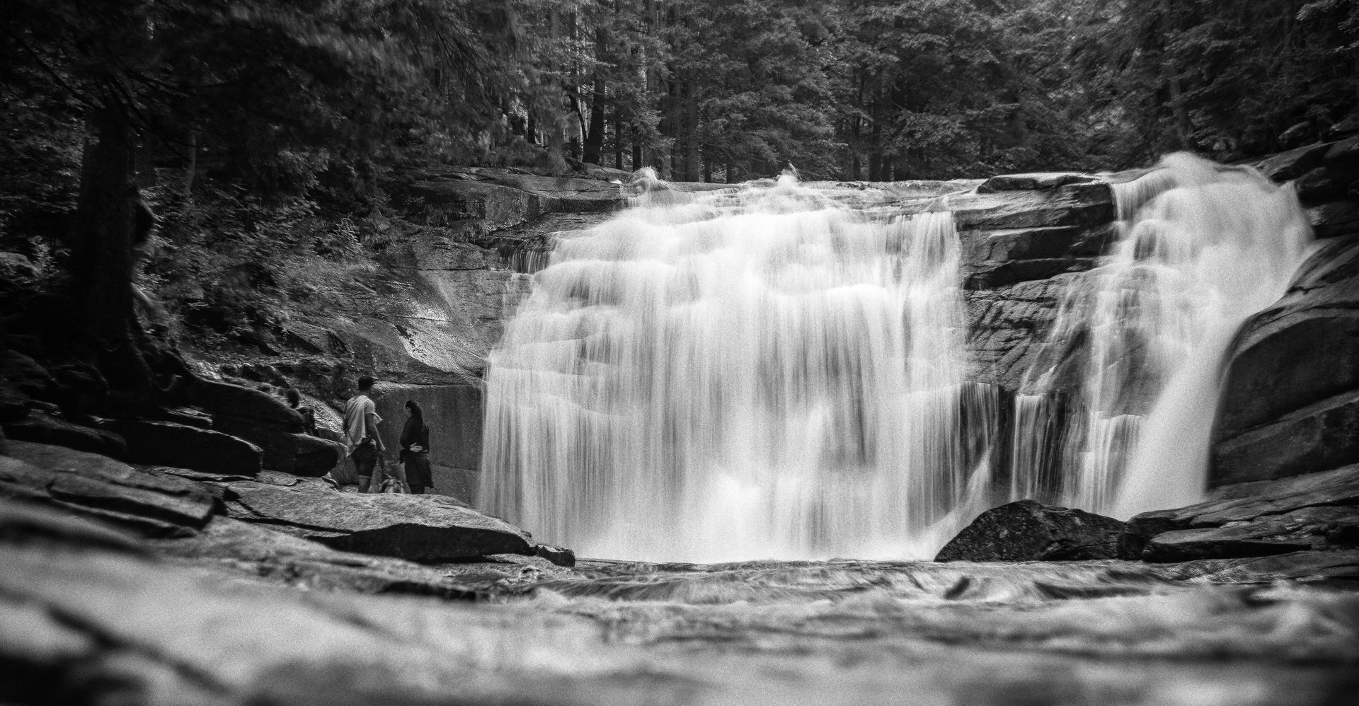 Fotograf Freital Naturfotografie Heimat