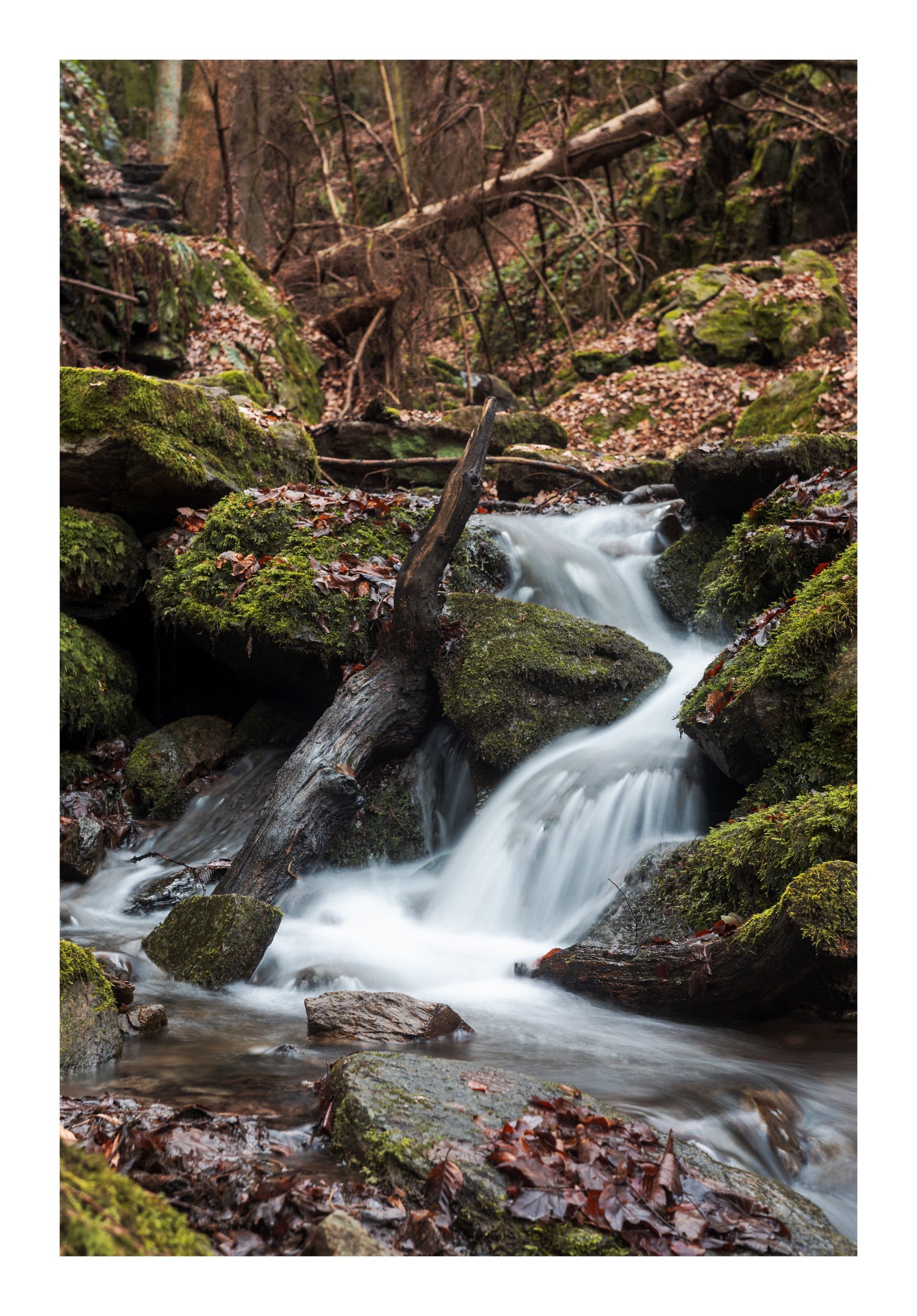 Fotograf Freital Naturfotografie Heimat