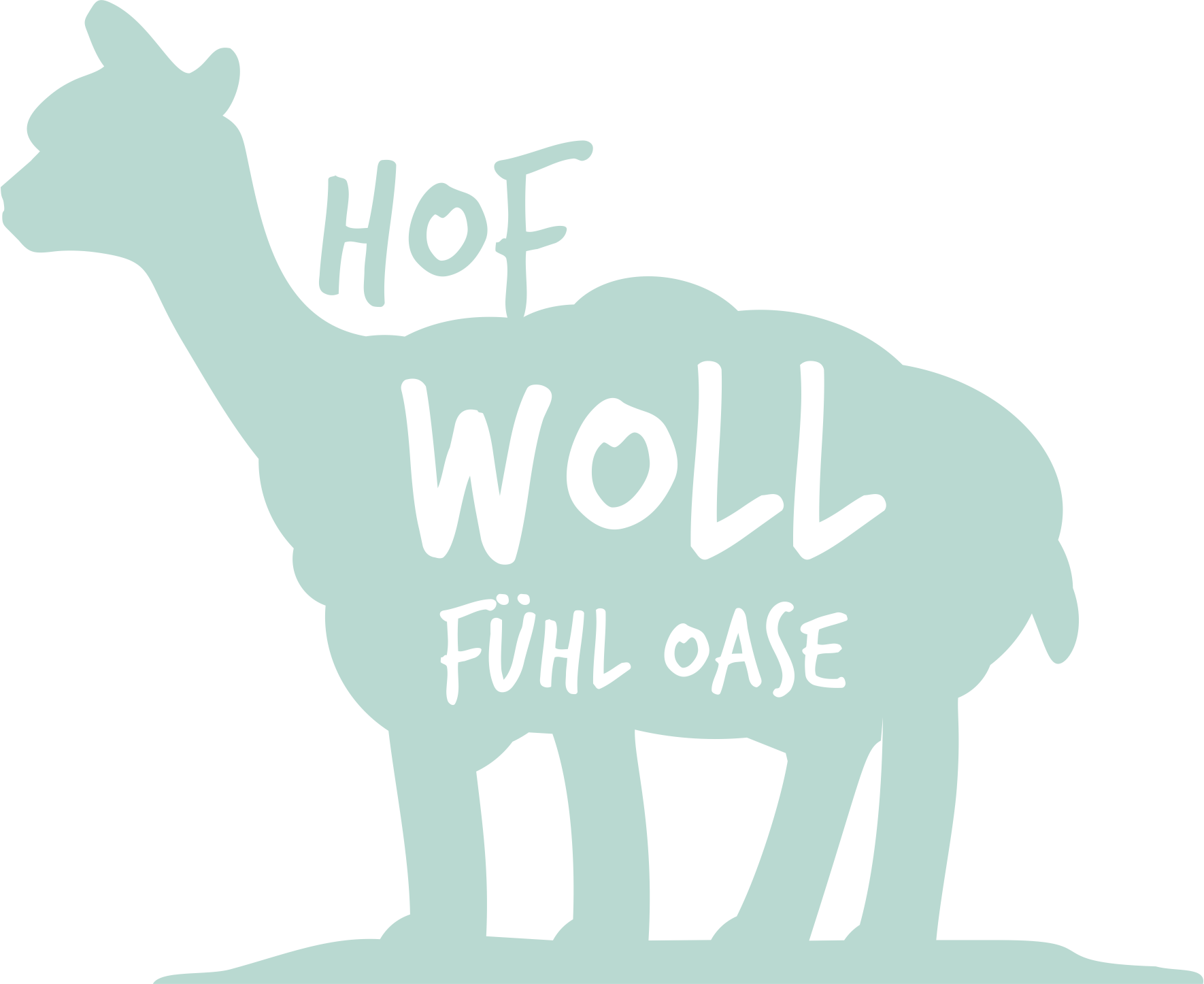 Wolle zum Wohlfühlen
