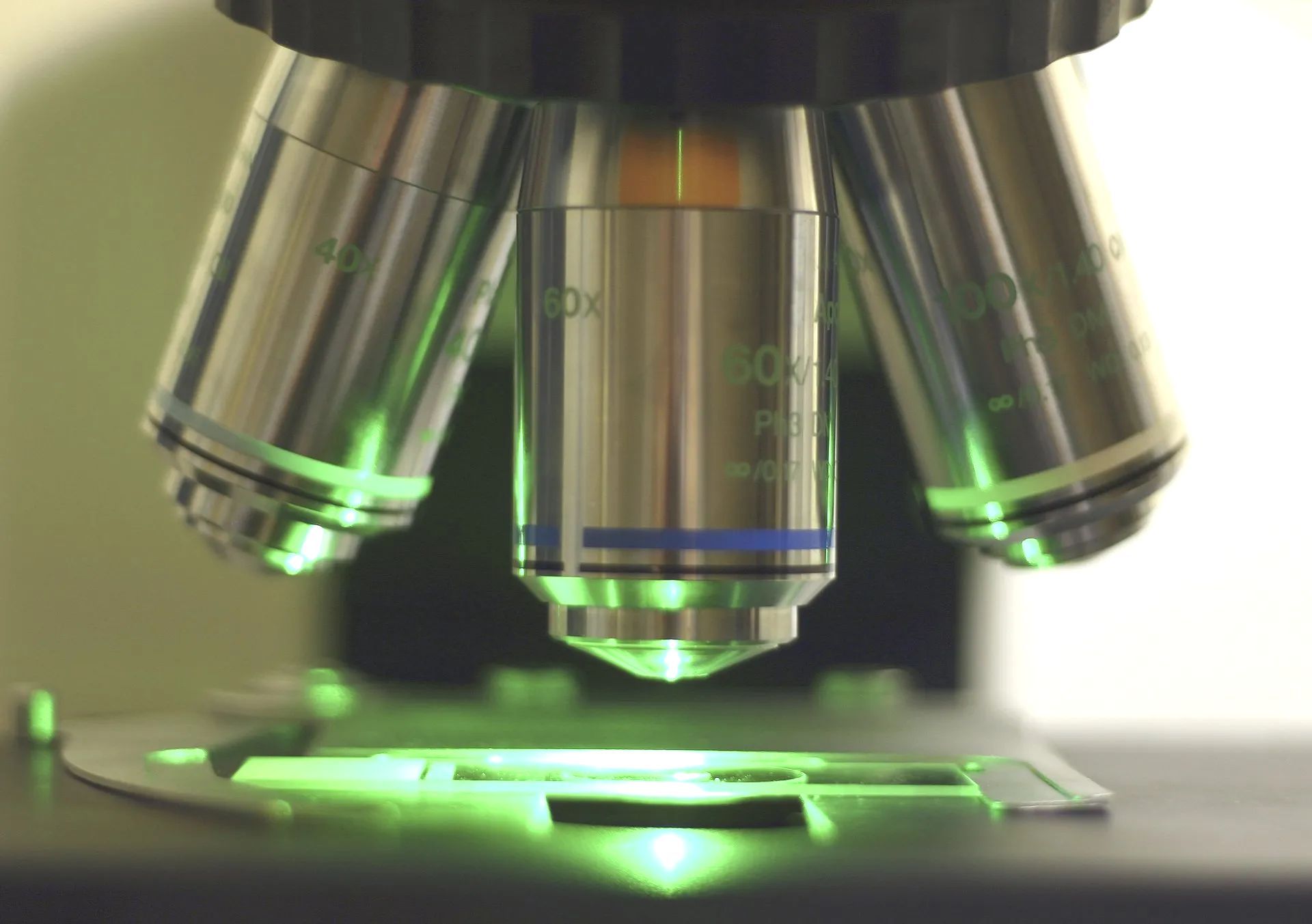 Dunkelfeld Dunkelfeld Vitalblut Analyse