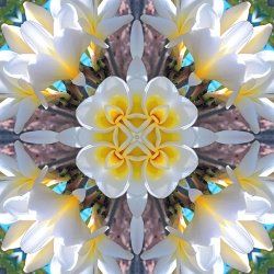 Vastu Mandala