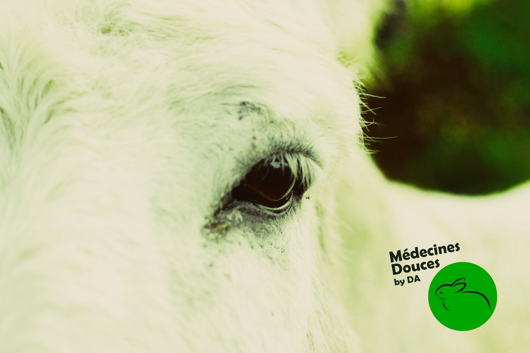 Détente Animal est naturopathe de base scientifique pour l'Humain & l'Animal