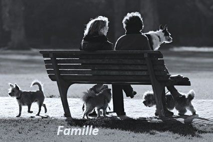La famille est le socle essentiel de toute relation. Détente Animal travaille avec l'ensemble des membres de votre famille
