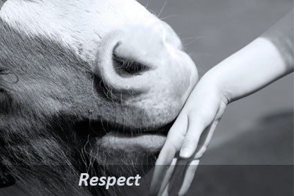 Le respect est une valeur fondamentale chez Détente Animal