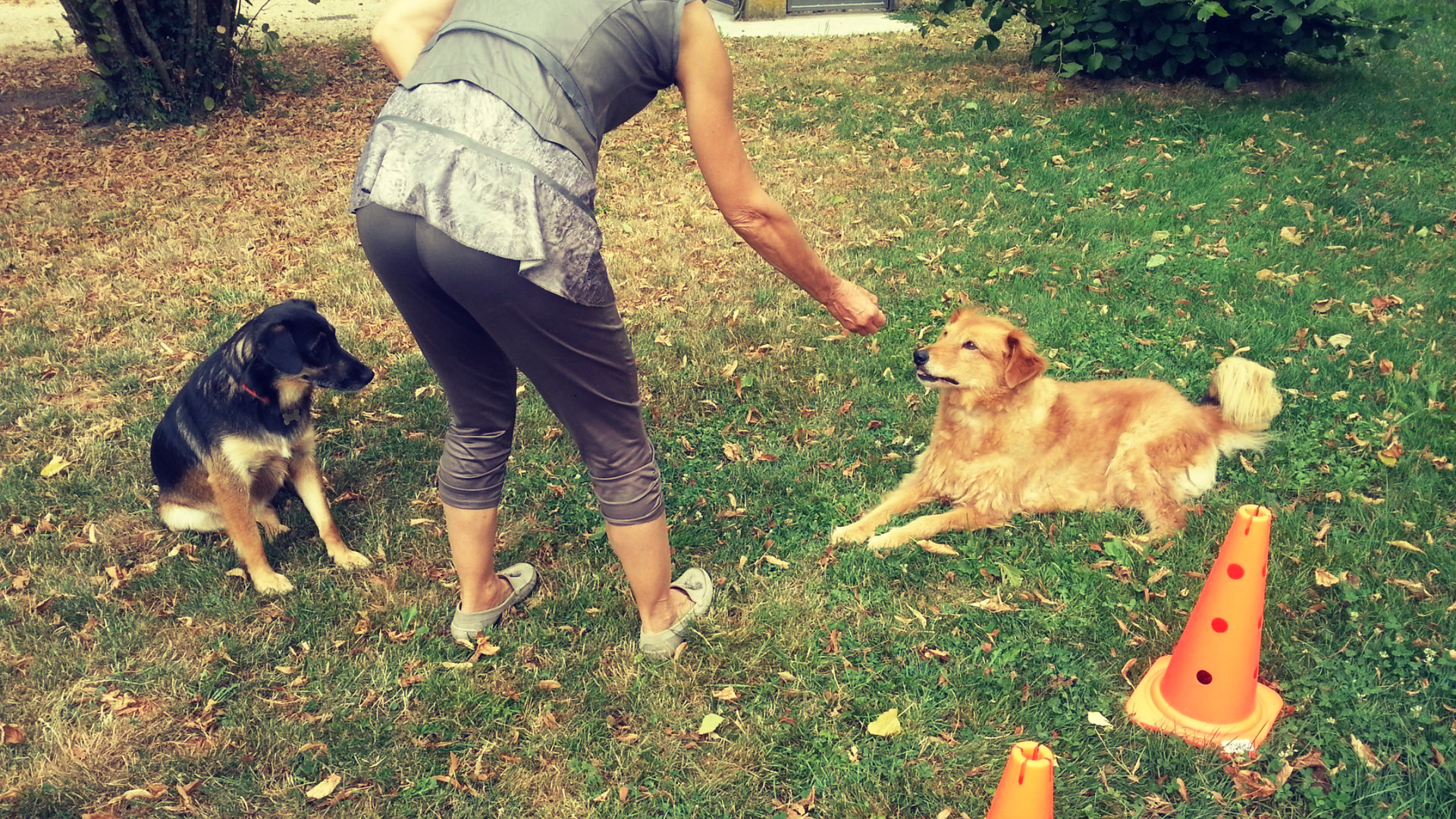 Détente Animal est éducatrice comportementaliste canin formée aux chiens réactifs congénères et humains par Jérémy SERINDAT