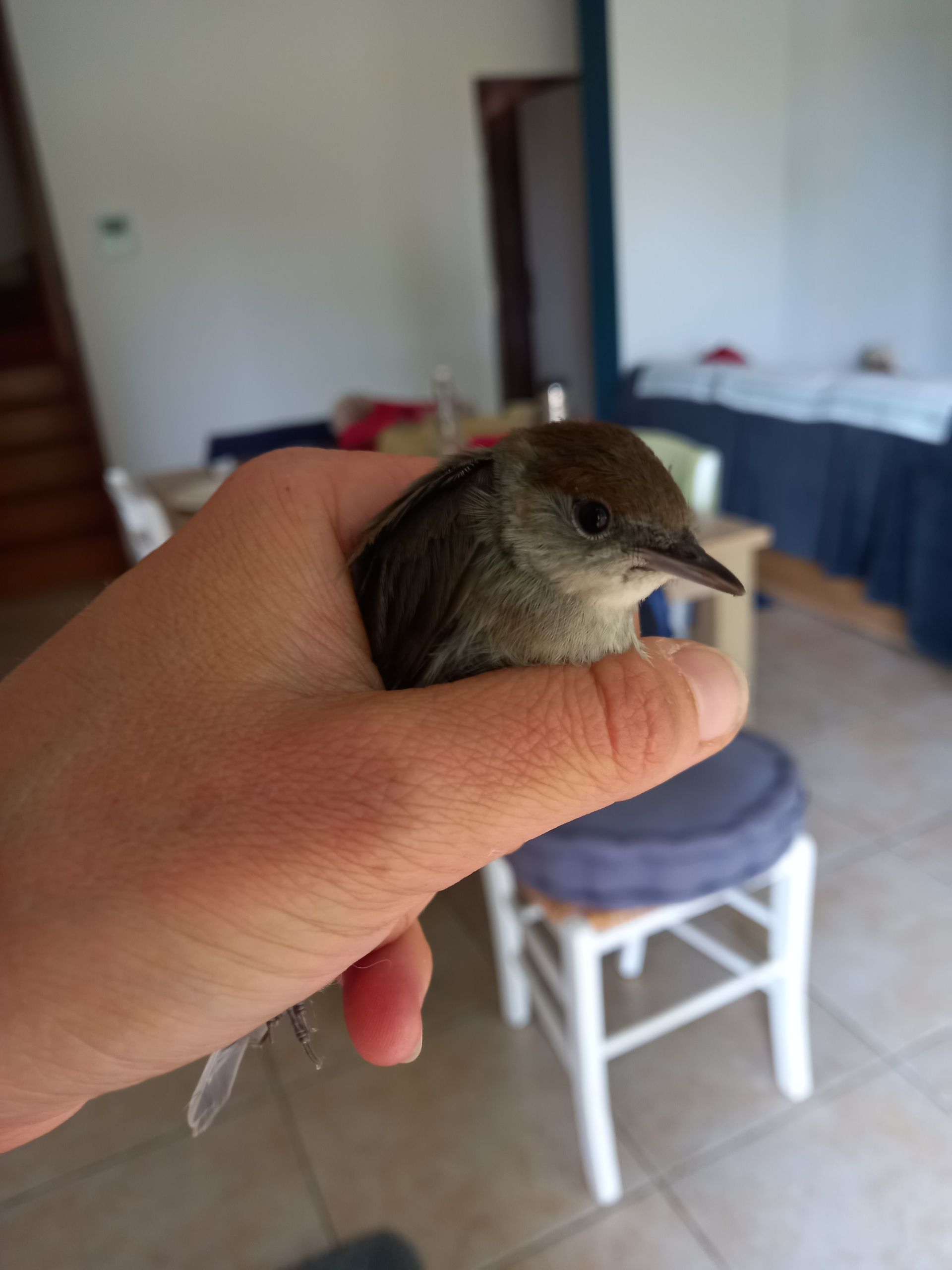 Les bonnes actions de Détente Animal