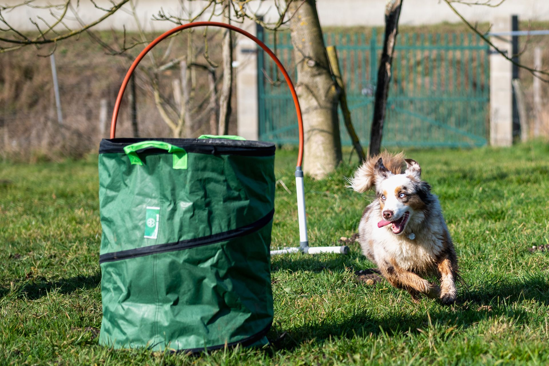 Détente Animal vous propose des ateliers ludiques pour renforcer la complicité de votre binôme chien / humain : agility, hoopers, CaniRando, CaniCross, CaniVélo...
