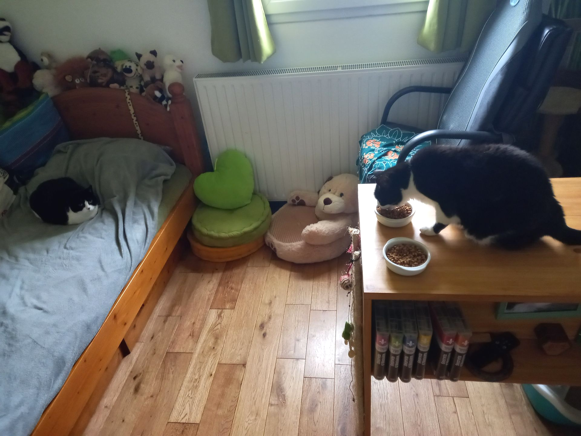 Détente Animal vous propose un service de visites à domicile ou de garde au sein de la D.A.Family pendant vos courts ou longs séjours.