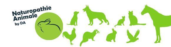 Naturopathie Animale by DA Naturopathie Animale by DA