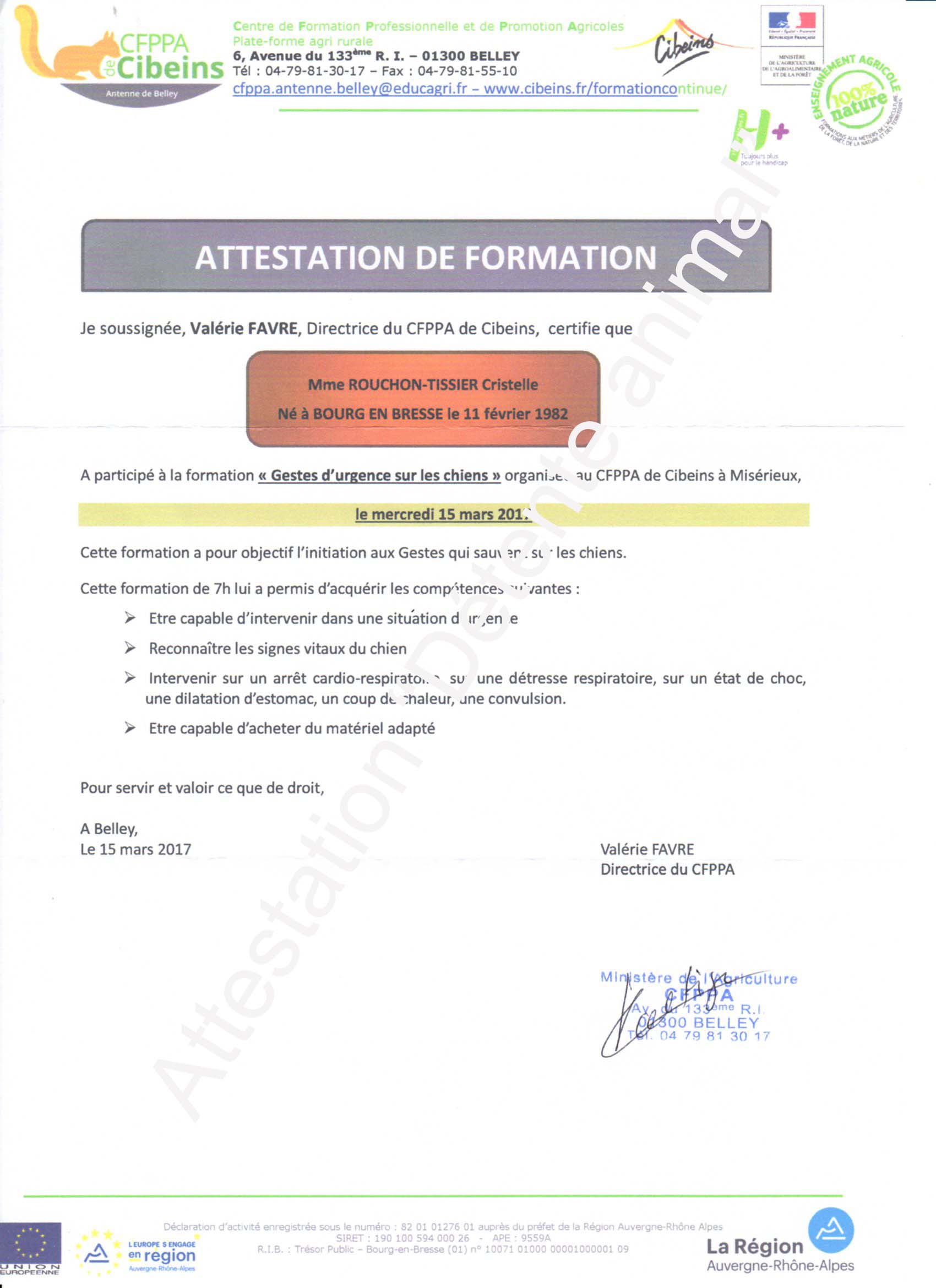 Détente animal est formée aux gestes de premiers secours chez le chien