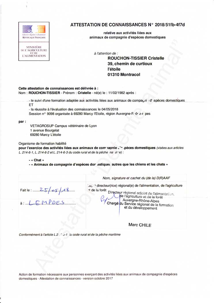Détente Animal possède son attestation de connaissances sur le Chat et les NAC by DA