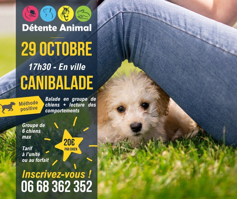 CaniBalade avec Détente Animal le mercredi 29 octobre à 17h30
