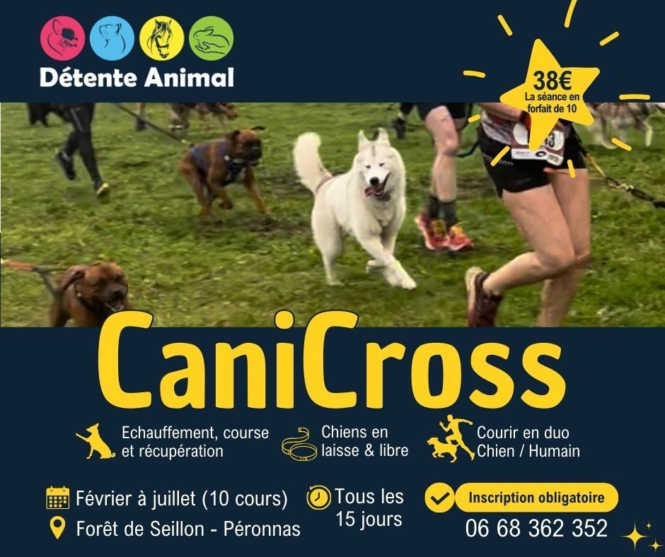 CaniEduCo, l'éducation canine collective vue par Détente Animal