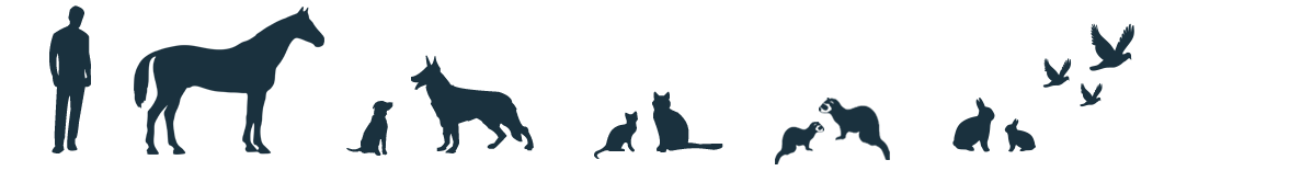 Détente Animal, la bulle bien-être des Humains et des Animaux qui s'aident de la Nature à bon escient Détente Animal, la bulle bien-être des Humains et des Animaux qui s'aident de la Nature à bon escient