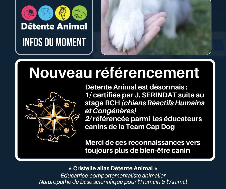 Détente Animal est référencée par la Team Cap Dog