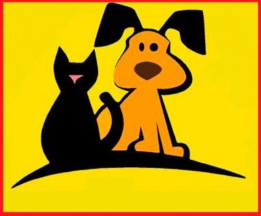 Food Animo, partenaire de Détente Animal