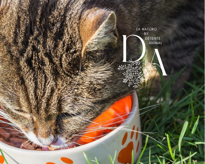 Détente Animal / La Naturo by DA - liste des aliments fortement déconseillés voire mortels