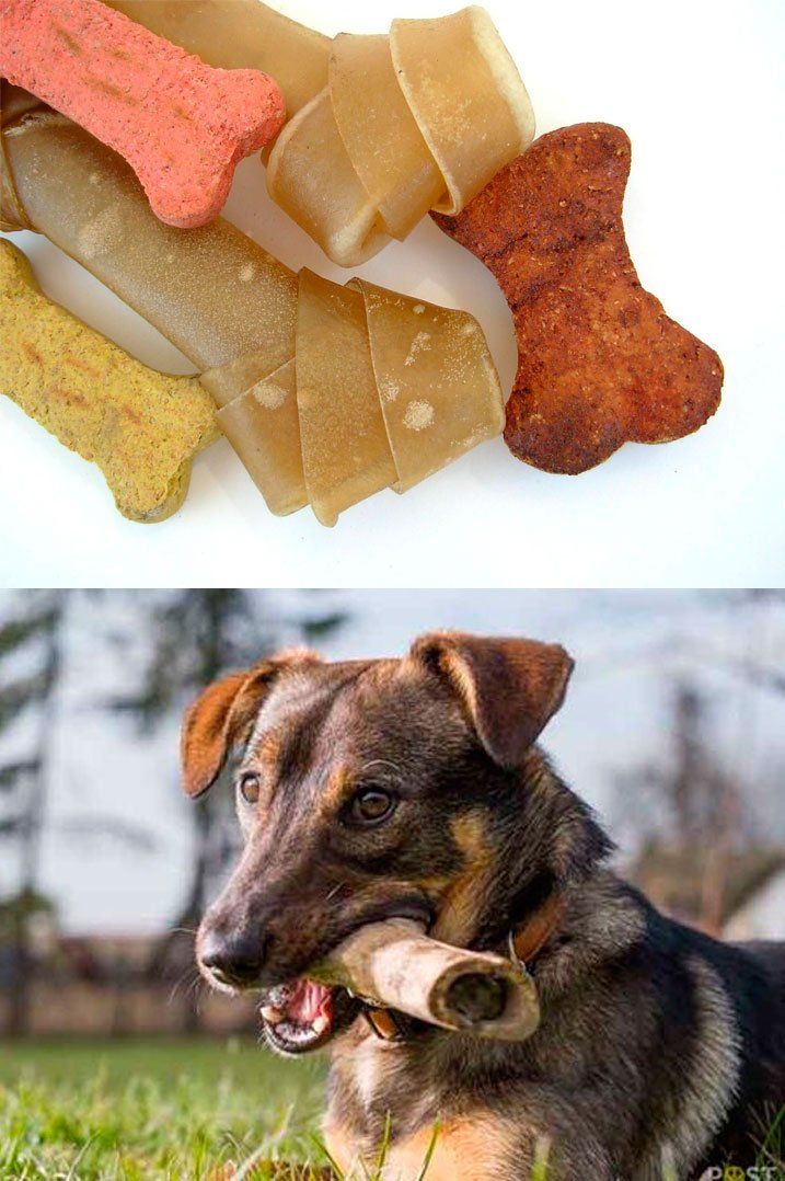 Détente Animal dresse la liste des aliments déconseillés pour nos animaux de compagnie : les Os cuits et les cuirs/peaux de buffle à mâcher