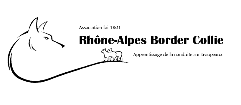 Détente Animal a effectué plusieurs stages chez Rhône Alpes Border Collie