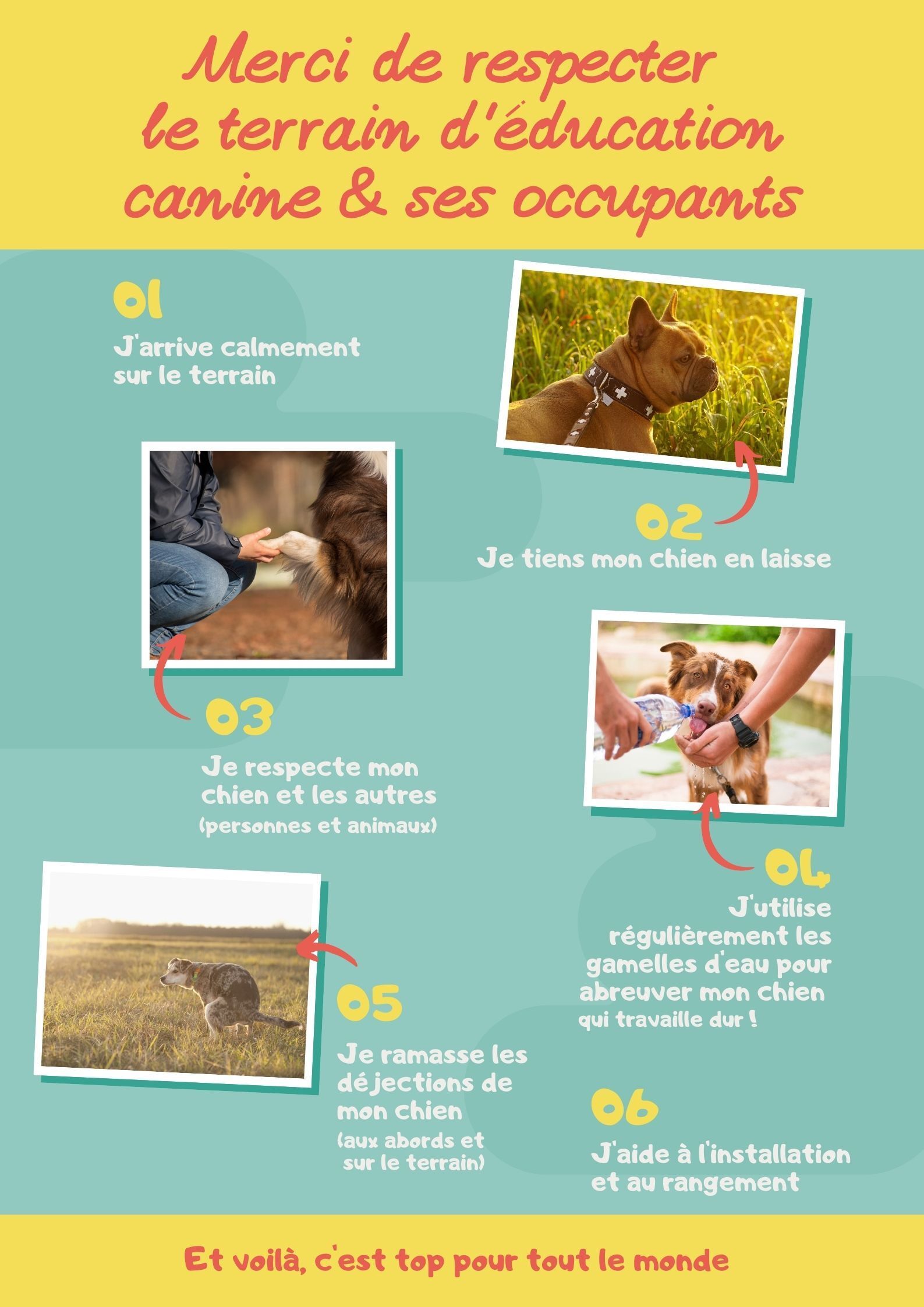 Consignes à respecter sur le terrain d'éducation canine by DA