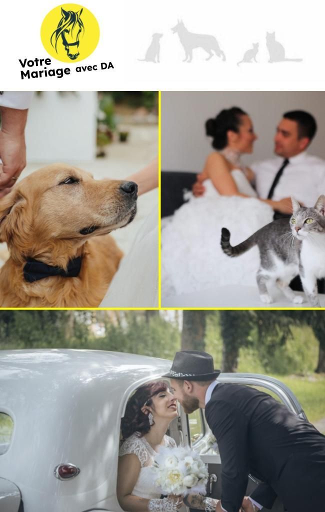 Pendant votre mariage, DA garde votre animal