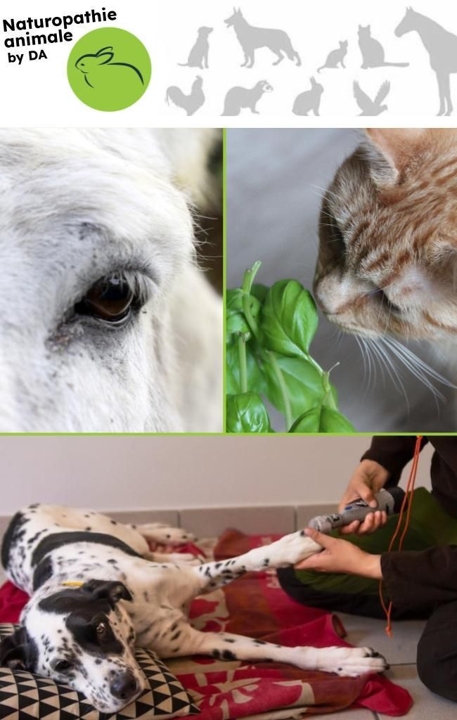 La Naturopathie animale by DA