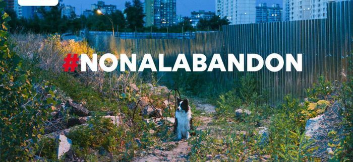 Détente Animal milite contre l'abandon des animaux de compagnie NON à l'abandon