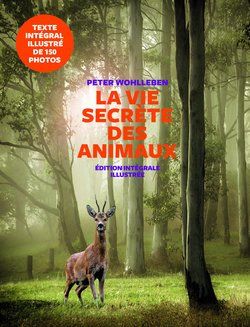 La vie secrète des animaux - livre recommandé par Détente Animal