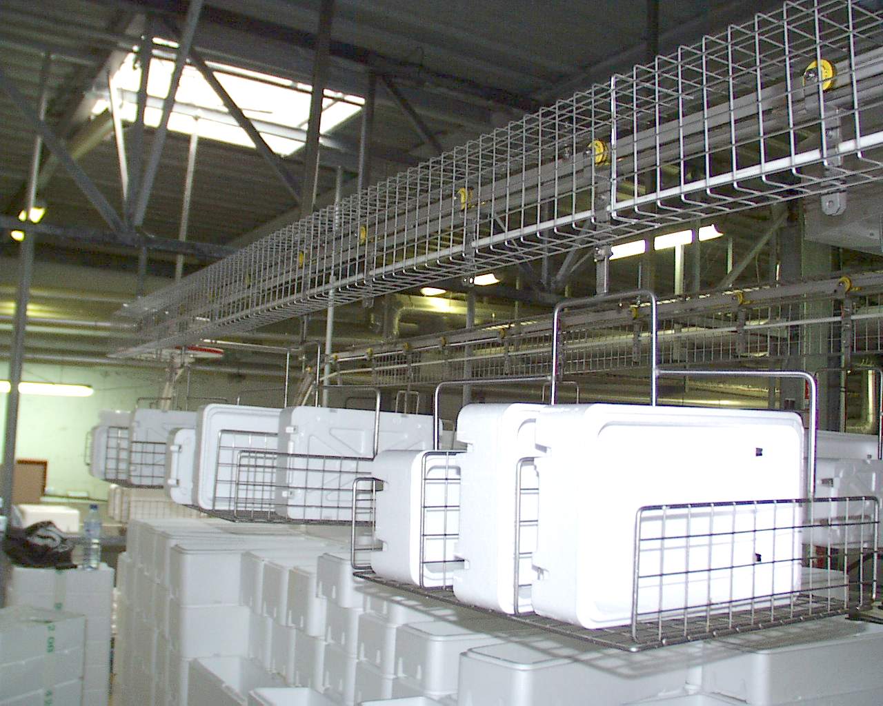 Convoyeur inox agroalimentaire pour transfert par balancelle de caisse polystyrène multiformat