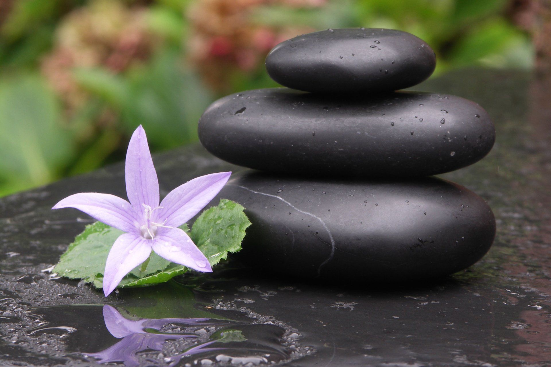 Hot Stone Basaltsteine für die Rückenmassge Hot Stone Basaltsteine für die Rückenmassge