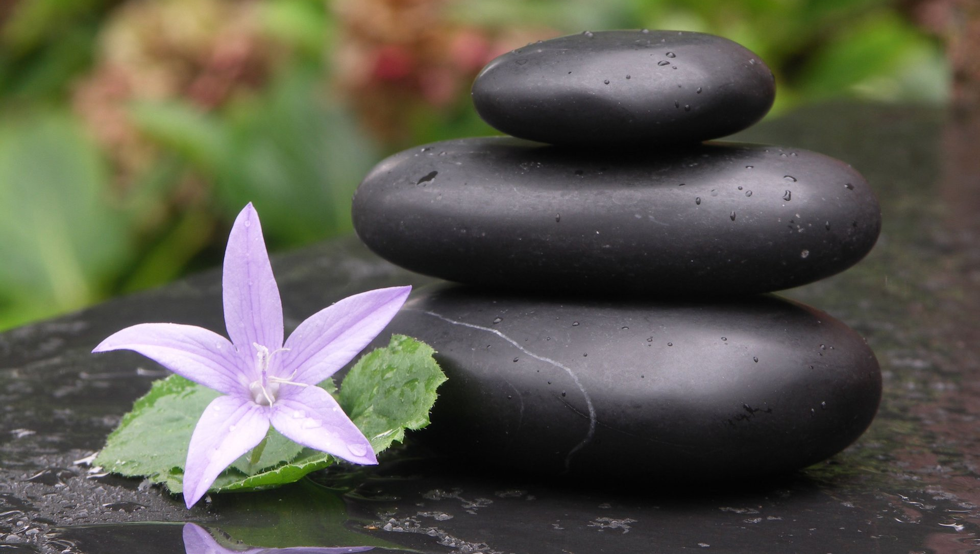 Hot Stone Basaltsteine für die Rückenmassage