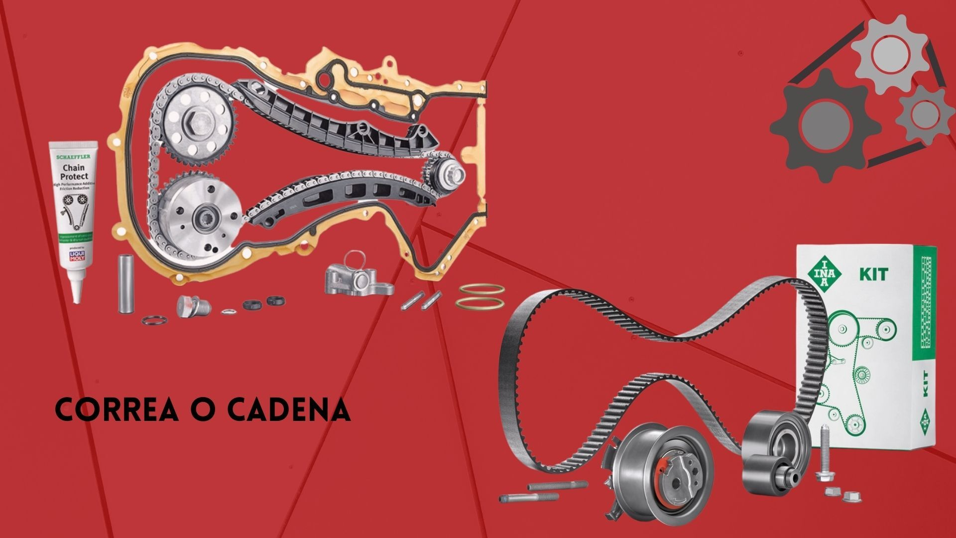 Distribución del motor con cadena o correa