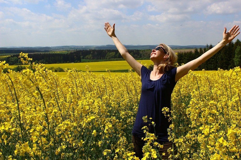Lebenscoach Ausbildung Lebenscoach Ausbildung