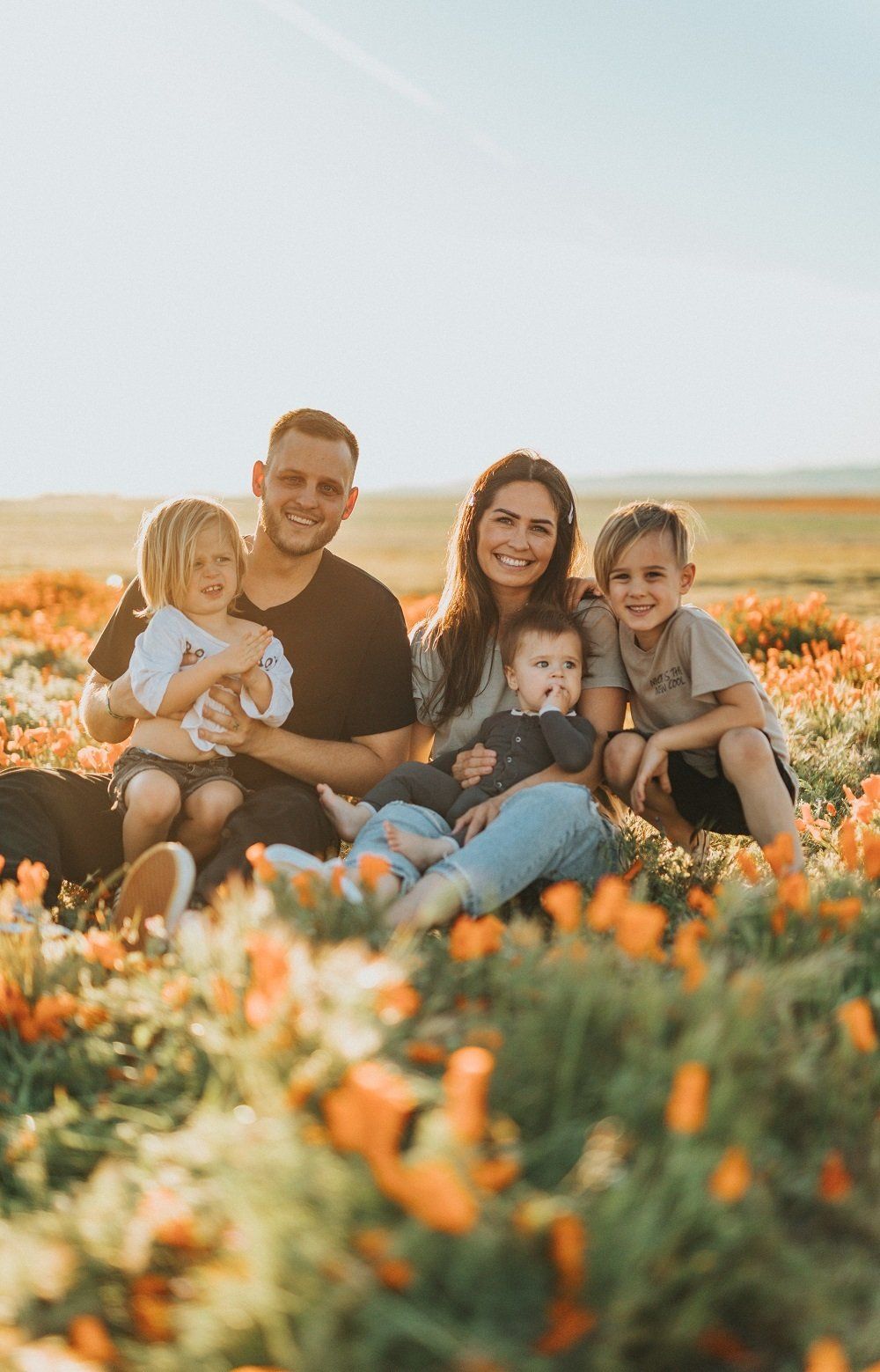 Familienstellen Ausbildung Familienstellen Ausbildung