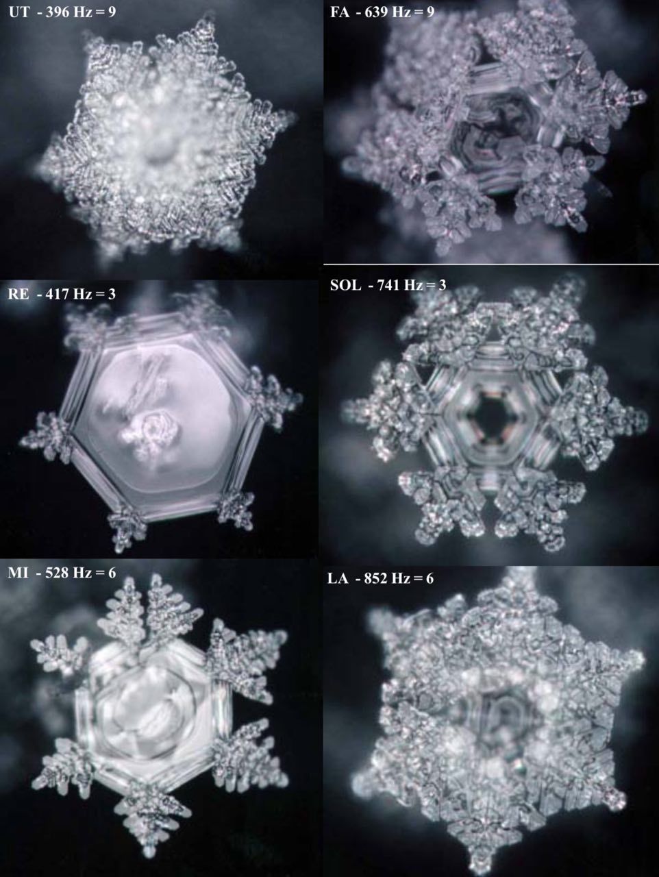 Wasserkristall nach Emotoverfahren mit Solfeggio Frequenzen Teslamed Wasserkristall nach Emotoverfahren mit dem Celltuner / WasserVitalisierer / Wasserstrukturierer / Zar / Zelltuner / Tesla-Oszillator / Teslamed / Tesla Oszillator / Solfeggio Frequenzen / Teslamed