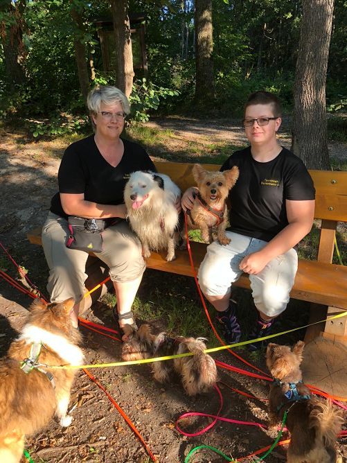 Eure TeamWalk-Hundetrainer Eure TeamWalk-Hundetrainer