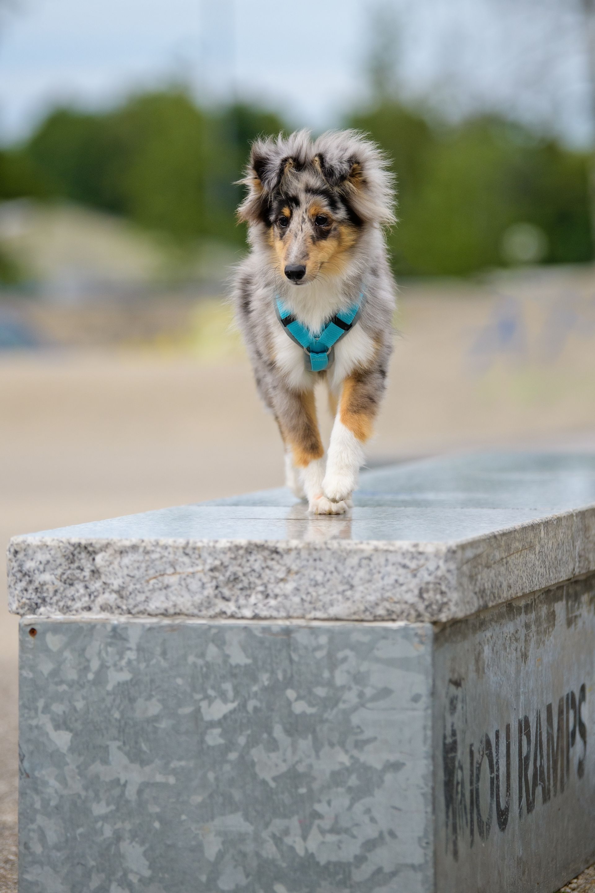 Sonderstunden - Einzelstunden Sonderstunden - Einzelstunden