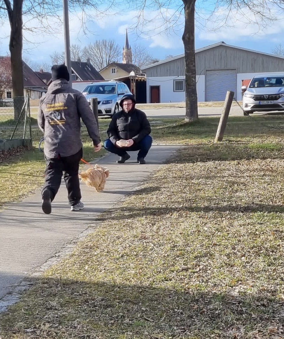 Mantrailing Mantrailing