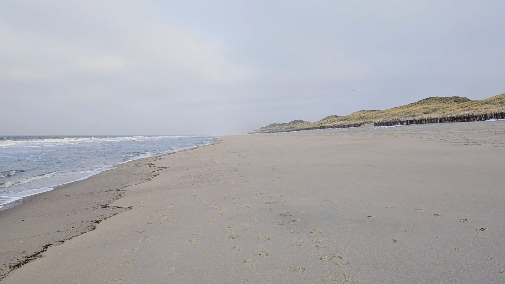 lebensmitte-neuorientierung-frau-meer