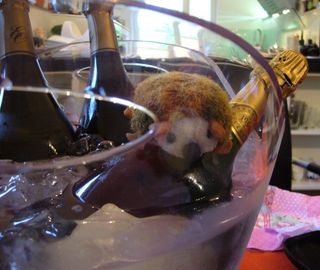 Eh voilà, le hérisson sur la glace