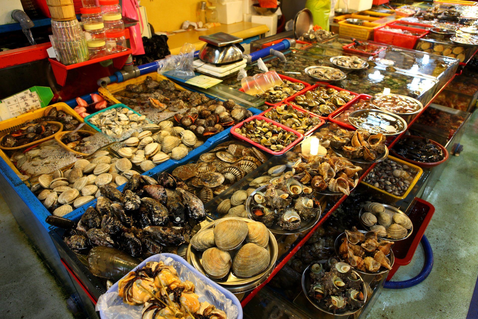 Bummel über den faszinierenden Jagalchi-Fischmarkt.