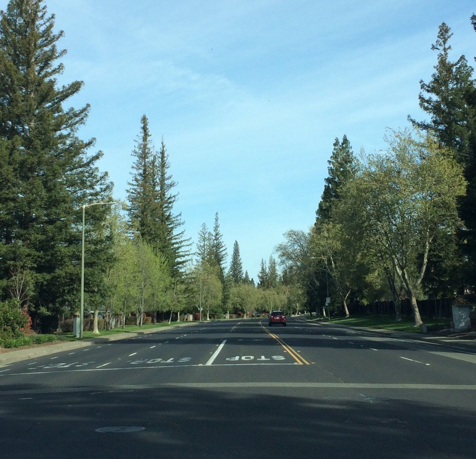 Picture of parkway looking down the road, trees on both sides