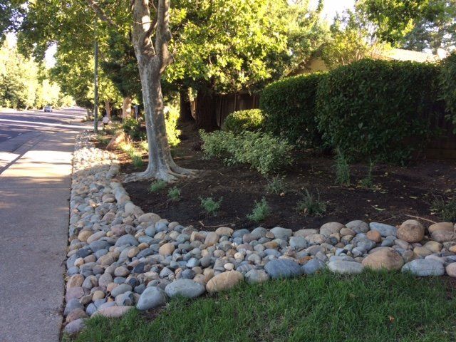 Picture of landscaping along the parkway, including grass, shrubs, decorative river rocks and small vegetation