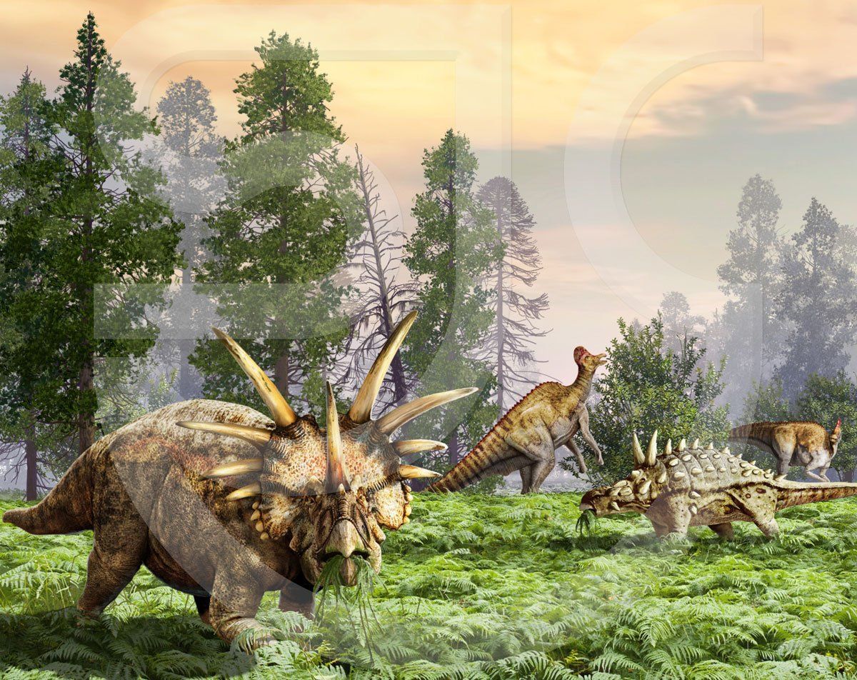 Late cretaceous prehistoric landscape scene of how Dinosaur Provincial Park, Alberta, looked 77 to 75 million years ago, including the herbivorous ceratopsian styracosaurus, the duck-billed corythosaurus hadrosaurid and the armored ankylosaurus. Natural history illustration for electronic learning.
