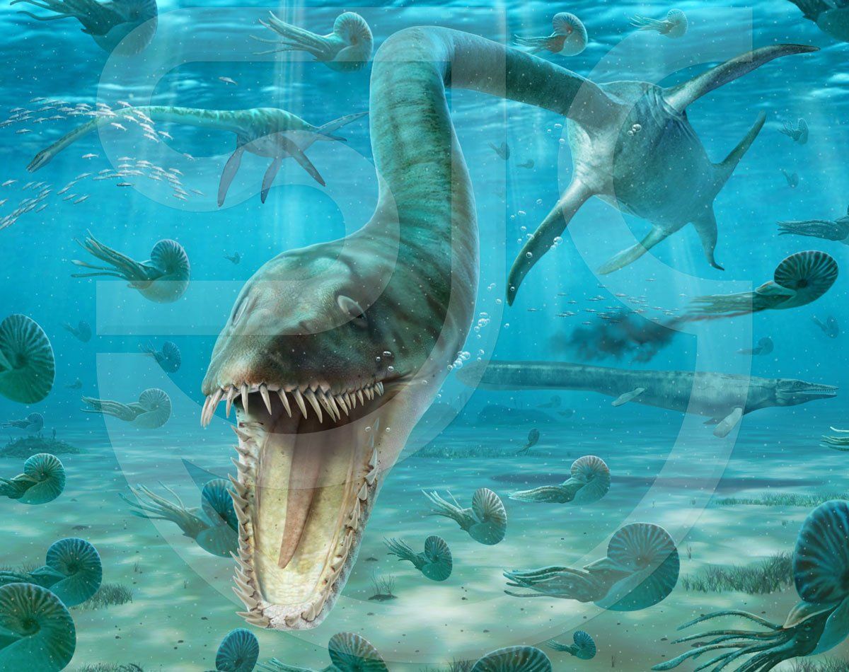 Prehistoric dinosaur seascape. Natural history illustration for electronic learning of the late cretaceous sea environment of the Western Interior Seaway, Alberta, as per evidence from the Bearpaw Formation. Sea creatures shown are Albertonectes (elasmosaurid plesiosaur), Mosasaurus (carnivorous aquatic lizard), Ammonites (marine molluscs), Nautilus (pelagic marine mollusc).